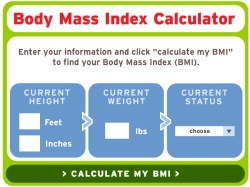 Body Mass Index (BMI) Calculator