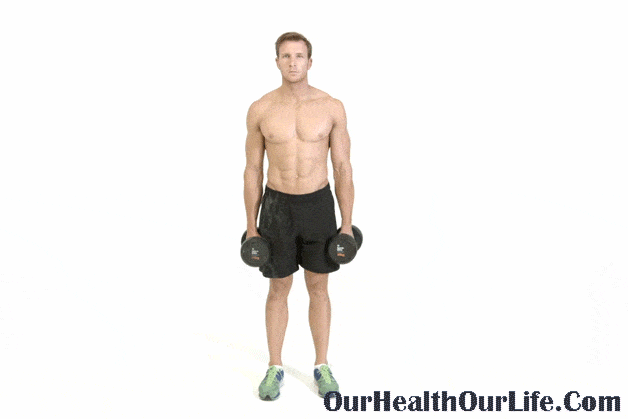 Top 10 Dumbbell Workouts to Build Your Muscle: Cross Body Hammer Curl