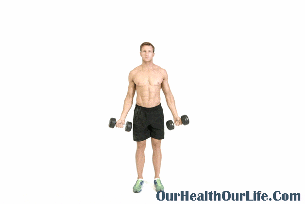 Top 10 Dumbbell Workouts to Build Your Muscle: Scaption With Dumbbell
