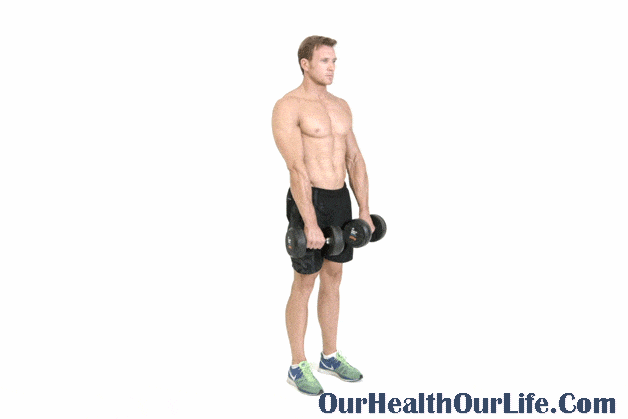 Top 10 Dumbbell Workouts to Build Your Muscle: Stiff Legged Two Arm Dumbbell Deadlift