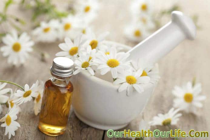 Chamomile in pregnancy