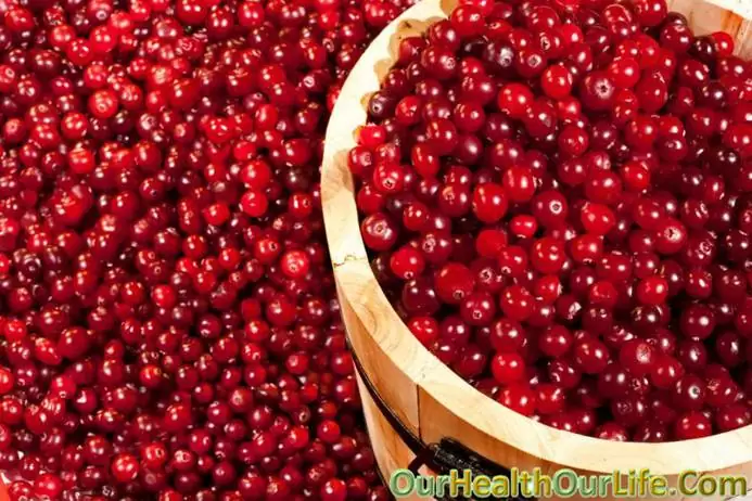 Red cranberry in pregnancy