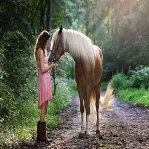 Adjusting the Weight of the Riding Horses