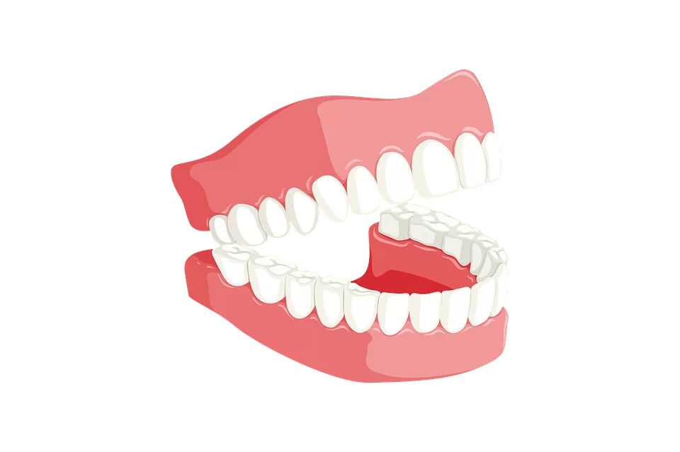 teeth